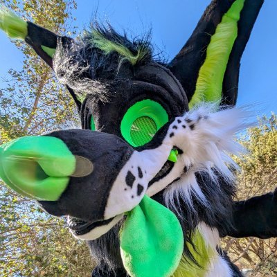 LycanPistachio's profile picture. 