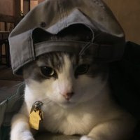 Toxxen (@toxxenfn) 's Twitter Profile