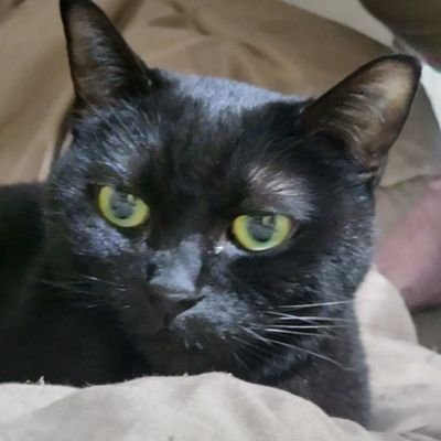 ZBD3CFD1tK81883's profile picture. エレファントカシマシと宮本浩次が大好き。追っかけます♥
斉藤和義、竹原ピストル、スピッツも近所のライブ行く位好き🩷
病気のお陰で好きに生きる事を決意✨️
機種変したら引き継ぎ失敗。新たに始めました。