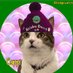 ๐๐Cappi ๐๐ & John (@catcappi1) Twitter profile photo ๐๐Cappi ๐๐ & John (@catcappi1) Twitter profile photo
