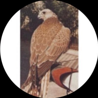 بكل فخر طالبة لدى @IMSIU_edu_sa عضوة تطوع في @Watan_tumuh Emotions and positive ،sports🏅 ً ً ً ً قلبٌ سكنه الله انّى للشدائد ان توهنه