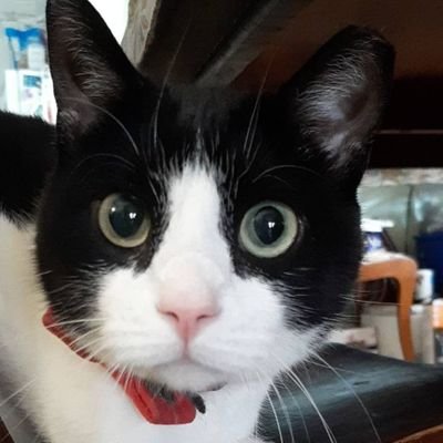 GiGi END LEGISLATED POVERTY πΎβΏπ¨π¦π· Profile