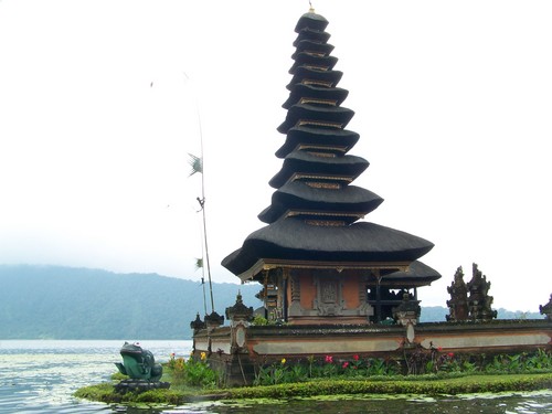 balipadi's profile picture. same places, different experiences • your Bali travel partner • updates & news on Bali's eco-tourism, art-culture-nature travel • Contact us for the best price!