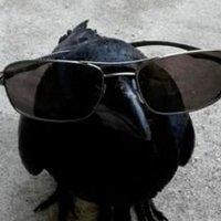 Hollow Forb (@hollowforb) 's Twitter Profile