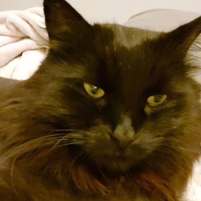 heyitzkey's profile picture. love me, hate me, I don't give a fuck 🤷