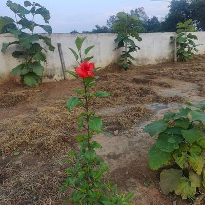 kaushle15072830's profile picture. 