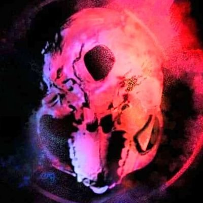 Peter Orchard 🏴‍☠️さんのプロフィール画像