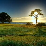 krupaba parmar (@krupaba_pa67368) 's Twitter Profile Photo