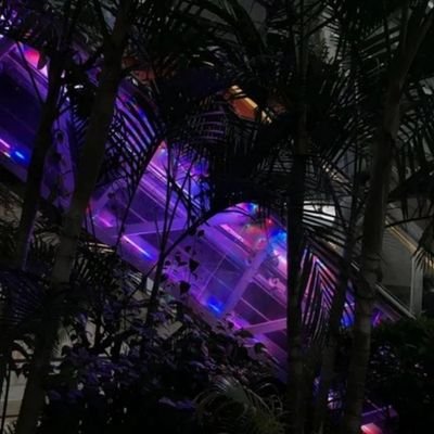 hypereallisss__'s profile picture. they're like flowers for a dead, dead heart 🥀
agnostic/atheist ⚛️
