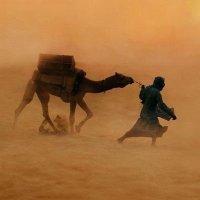 Al-khidr 🔆 (@pure_monotheist) 's Twitter Profile