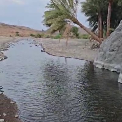 AbdullahAlguthi's profile picture. 