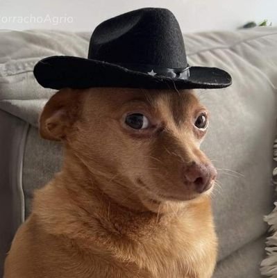 marsii3030's profile picture.