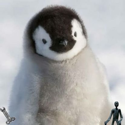 午後のペンギンさんのプロフィール画像