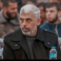 أحمد شراب 🇵🇸 (@mohammed_senwar) 's Twitter Profile