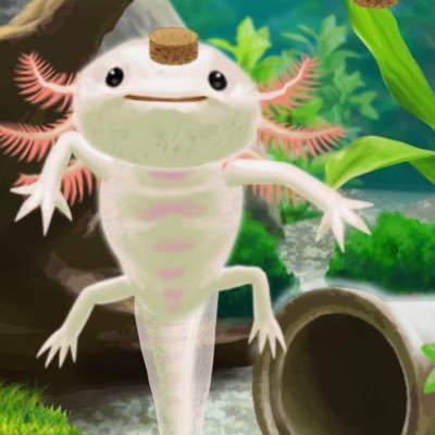 kwjp1sw's profile picture. 