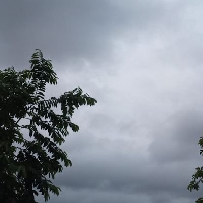 MbiyavangaC's profile picture. 