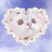 πππππππ (@82key_28) 's Twitter Profile