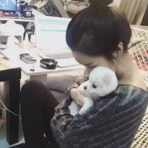 AyakoNa52480's profile picture. 