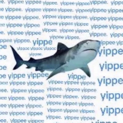 TikaSplatさんのプロフィール画像