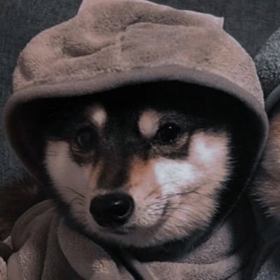 dHvrn8RaT361421's profile picture. 