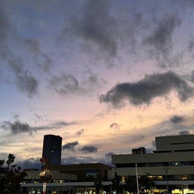 TMMさんのプロフィール画像