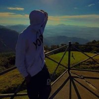 Pietro (@pietro176648) 's Twitter Profile