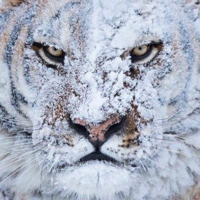 CMakaba's profile picture. I'm obsessed with systems. particularly computer systems how they work how to brake them and put them back . I'm a piece of software written in 1862