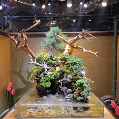 ykys2409's profile picture. 