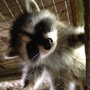 Alex Casper - @Ghost_Boy_333 - Twitter