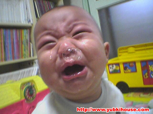 cleansmseo's profile picture. 