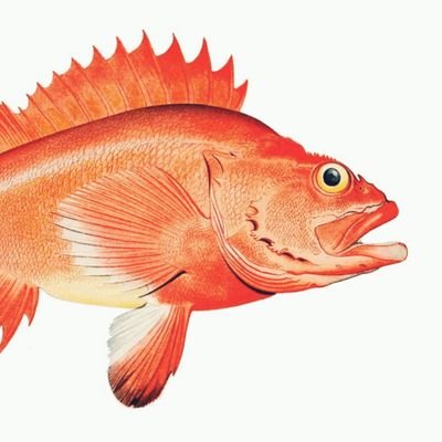 Sky6japan's profile picture. 