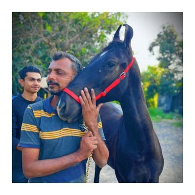 ShyamKeshv33940's profile picture. ખેડૂત પુત્ર