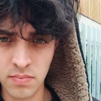 Palomita (@palomitago) 's Twitter Profile