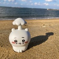 たなかわ (@tanukawa1031) 's Twitter Profile