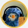 antariksakita's profile picture. Lahir ketika langit sedang mendung-mendungnya.
