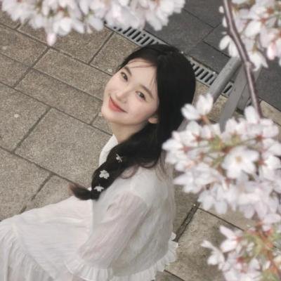 SumireM63528's profile picture. 