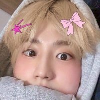 𝐣¹한 ミ⊰ ˢᵗʳᵃʸ ᵏⁱᵈˢ﹆ (@_xme20j1n_) 's Twitter Profile