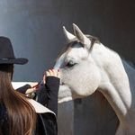 Sara_Gamal84's profile picture. S ..sky
A...art
J..joy 
A...ambitious ..my name is my https://t.co/1Onz90rSI5 in love with anything make me feel alive 🍃 
Cats 🐈⬛ and flowers 🌺 lover
23 March 💙