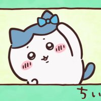 ｱｷ (@kutsuno_kun) 's Twitter Profile