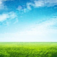 保管　@Acris_FN (@acris_fn) 's Twitter Profile