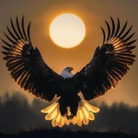 🦅 AnonymousEagleQ Diplomacy 🦅 (@anoneagleq) 's Twitter Profile