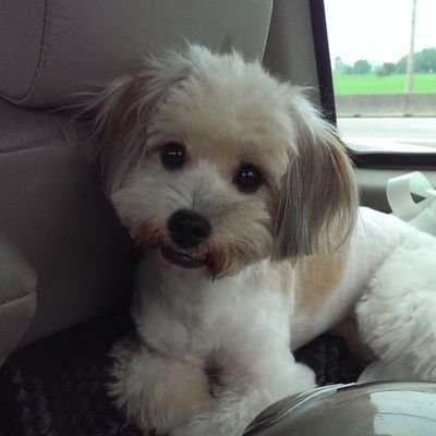 zazxc12345's profile picture. 