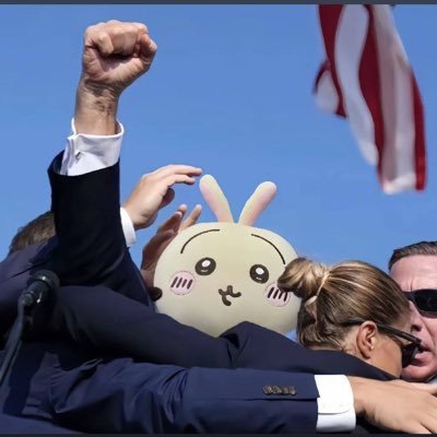 Make $CHIIKAWA great again on Web3. Small and cute. Looking for 10000 $CHIIKAWA holders!!!
