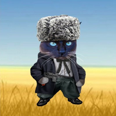 #NAFO Cat Division. Antifascist whose Ukrainian ancestors settled in the Manitoba prairies 100+ years ago.