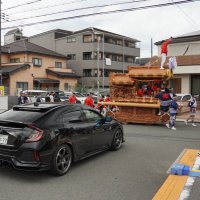 オカピ〜/FK7 (@zigurumasaika2) Twitter profile photo