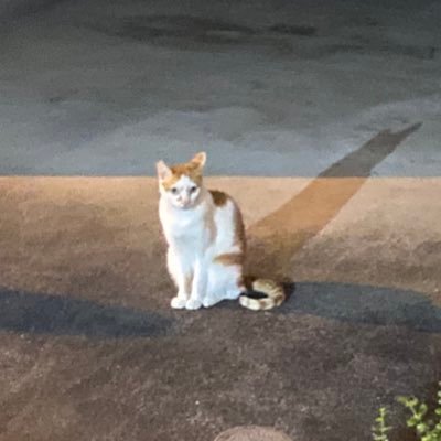 Qy_ru4's profile picture. 