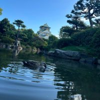 たいせい (@taisei_ramen) 's Twitter Profile Photo たいせい (@taisei_ramen) 's Twitter Profile Photo