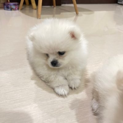 aaspry's profile picture. 