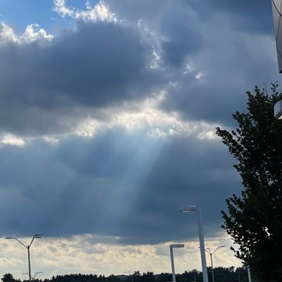 cric4lyff's profile picture. Love technology, passionate about cricket, outdoor guy and family man