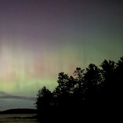 desrosi2205's profile picture. 